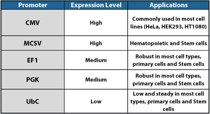 Expression Table